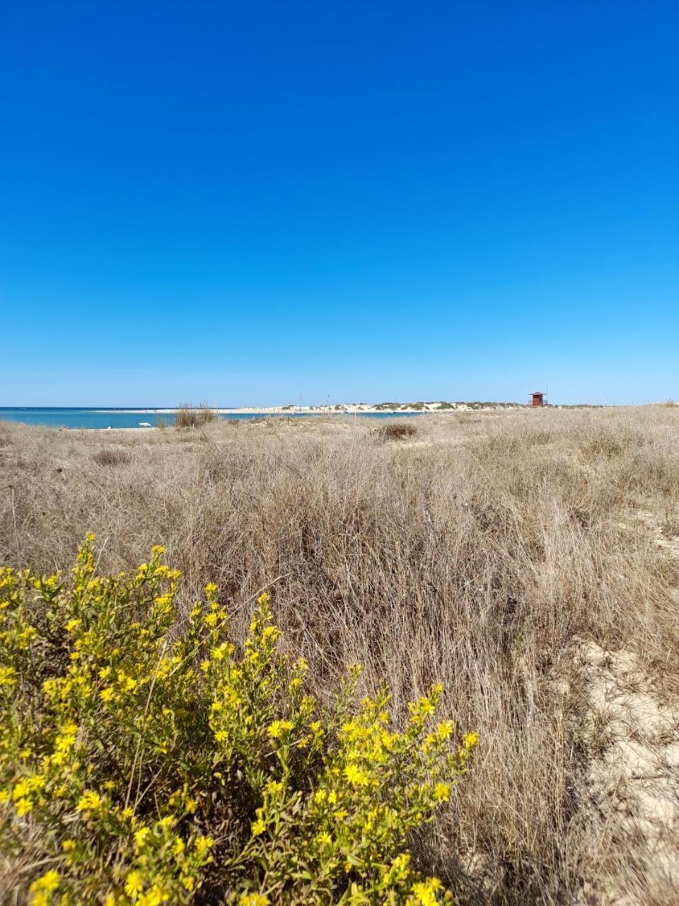 Apartamento Playa La Barrosa Chiclana de la Frontera Exterior foto